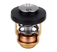aqxreight Remplacement du Thermostat Hors-bord pour Moteurs 4 Temps | Boîtier Antirouille, S'active à 60°C, Installation Plug-and-play, Compatible avec 66M-12411-00 et A67F