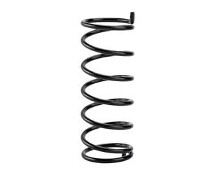 aqxreight Ressort de Compression de Transmission, Pièce de Rechange pour | Acier à Ressort, Ajustement Direct Durable, Remplace OEM 420638040 420238177, Compatible avec Commander