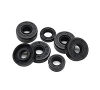 Aqxypas Joints d'étanchéité à double lèvre en caoutchouc nitrile, diamètre intérieur 10 mm, TC-10 x 16/17/18/19/20/22/24/25/26/30 x 5/6/7/8/10 mm, 2/5 pièces(5pcs,10x16x5mm)