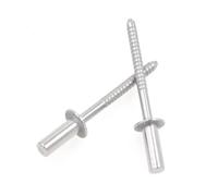 Aqxypas Rivets aveugles étanches en Acier Inoxydable, 30/50 pièces, Rivets d'étanchéité à extrémité fermée 3mm 3.2mm 4mm 4.8mm 5mm 6mm 6.4mm(50pcs,3.2x10mm)