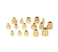 Aqxyxsw GUYTRM Adaptateur de raccord de Tuyau en Laiton Femelle vers mâle 1/8", 1/4", 3/8", 1/2" NPT for manomètre, air, gaz, Carburant, Eau lingli(Type 15)
