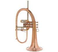 AR Resonance AR Resonance Sipiagin Flugelhorn
