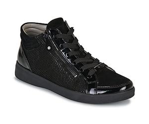 Ara Baskets montantes ROM-ST-HIGH-SOFT in Noir 41