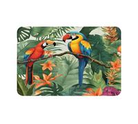 (Ara et toucan perchoir de forêts tropicales) Tapis de porte imprimé pour salle de bain, chambre à coucher et bureau Tapis de bain de sol doux antidérapant moderne tapis d'intérieur 40,6 x 61 cm