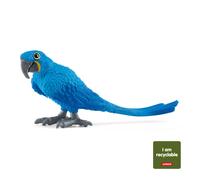 Ara hyacinthe (circular)