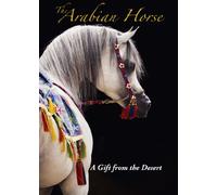 Arabian Horse a Gift from The Desert