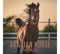 Arabian Horse Calendar 2026: 14-Month Organizer from Nov 2025 to Dec 2026 | Perfect for Home, Office, School & Family Scheduling, For Men , Women , Girls , Boys