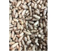 Arachides Fraîches 200g - Cacahuètes Non Grillées Naturelles