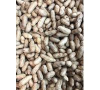 Arachides Fraîches en Coque - 200 g | Cacahuètes Naturelles Non Grillées | Idéales pour Cuisson, Apéritif et Recettes Africaines