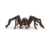 Aragog