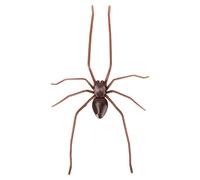 Araignée Aimantée Frigo 3D, Aimant Araignée Réaliste Cadeau Farce pour Réfrigérateur Porte de Garage Tableau Blanc Cuisine Intérieur Extérieur Autocollants Magnétiques(Marron)