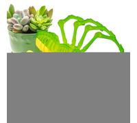 Araignée articulée, Jouet Spider Fidget, Fausses Figurines d'araignées articulées, Jouets de Bureau Anti-Stress, Jouets de Bureau exécutifs pour Adultes, araignée articulée 3D