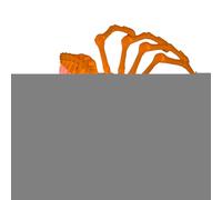 Araignée articulée, jouet Spider Fidget,Jouets Spider Fidget à articulations mobiles imprimées en 3D | Jouets de bureau exécutif pour adultes, araignée articulée 3D mystère, pour salle de classe et ma