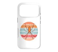 Araignée en Soie dorée, tisserand d'orbe, arachnide Coque pour iPhone 17 Pro