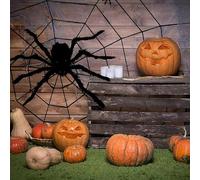 Araignée Halloween, Halloween decoration ,Araignee Géante, Réaliste Fausse Araignée Poilue Jouet Red Eyes,Halloween Deco Horreur Jardin Cour Maison Hantée Halloween Decorations for Patio (H#45cm)