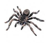 Araignée Halloween Réaliste Fausse Araignées Décorations d'halloween | Araignée Réaliste Prank Spider Figures Animale Détaillée Idée Cadeau pour Farce Jardin Cour Maison Hantée Decorations