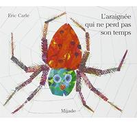 Araignee Qui Ne Perd Pas Son Temps