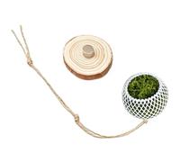 Araignée sautante - 70 g de d'escalade | Décoration d'araignée | naturels pour terrarium, reptiles, barbus, serpents, tortues, grenouilles, ermites, crabes