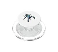 Araignée Tarentule babouin Bleu de l'île Socotra (M. balfouri) PopSockets PopGrip pour MagSafe