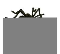 Araignées d'Halloween,Araignée d'Halloween | Accessoires d’araignées de maison hantée,Grandes fausses décorations d'araignée, accessoires effrayants et réalistes, décorations pour l'intérieur de la ma