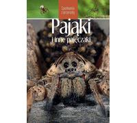 Araignées et autres arachnides. Rencontres avec la nature
