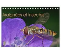 Araignées et insectes (Calendrier de bureau 2026 DIN A5 vertical), CALVENDO calendrier mensuel: Un calendrier sur les araignées et les insectes qui nous entourent.