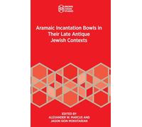 Aramaic Incantation Bowls in Their Late Antique Jewish Contexts
