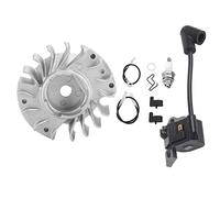 Aramox Bobine d'allumage du Volant, Performances Stables, Ajustement Idéal pour, Installation et Remplacement Faciles, Fabrication Exquise, Matériau Métallique, Ajustement pour MS180 170018017,