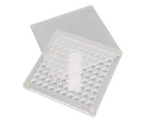 Aramox Boîte de Présentation de Coquillages Portable en Matériau Acrylique, Conception Magnétique pour Une Fermeture Sécurisée, Adaptée à L'affichage D'ornements (100 grilles)