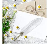 Aramox Ensemble de Stylos Plume, Outil d'écriture de Calligraphie de Haute qualité avec 5 Plumes pour étudiants et Créatifs (argent coupé)