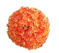 Aramox Lumière à Billes Solaires, Conception de Simulation élevée, économie d'énergie, Ambiance Romantique, Lumière Nocturne étanche pour Le Paysage de Pelouse de Parcours de Cour avec Un Jardin de