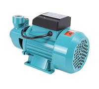 Aramox Pompe de Transfert d'eau, 0,75 Chevaux, Centrifuge, 50 L/min pour l'irrigation du Jardin et 'entretien de la Pelouse