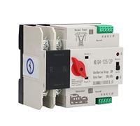 Aramox Transfert Automatique 2P PC Contact Argent Double Changement de Puissance AC230V monté sur Rail pour Boîte de Distribution PZ30 Sauvegarde de Générateur d'usine à Domicile (80A)