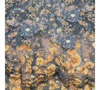 ARANDEL - SOLARISPELLIS LP + DOWNLOAD NEUF