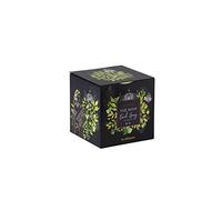 Araquelle Plantasia Thé Noir Earl Grey bio - 24 sachets de 48 gramme
