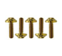 Arashi Boulons de montage de rotor de disque de frein arrière pour Yamaha WR125 YZ125 98-01, WR250 98-01, WR250F 01, YZ250 98-01, YZ250F 01, YZ426F 00-01, WR426F 01 Vis Torx coniques en titane M6 x 2