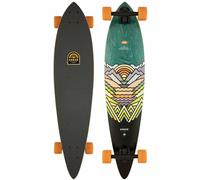 Arbor Performance Complet Fish Artist Longboard Skateboard Downhill