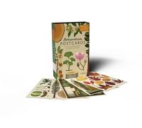 Arboretum Postcards