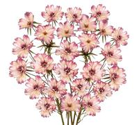 Arborus Lot de 5 fleurs de chrysanthème artificielles en soie à longue tige pour vases hauts - 70,9 cm - Décoration de maison, mariage, arrangement floral