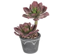 Arborus Plante Artificielle comme Une Vraie Succulente Artificielle en Pot 33 cm Plante Artificielle Succulente avec dégradé de Couleurs Feuilles Chambre Déco Bureau Déco Store Déco