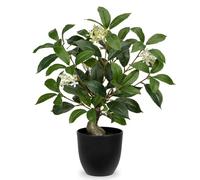 Arborus Plantes artificielles d'intérieur de 40 cm de haut - Laurier vert dans des pots noirs - Petites plantes artificielles décoratives en pot - Plantes artificielles décoratives pour la maison, la