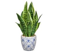 Arborus Plantes artificielles en pot en céramique - 40 cm - Plantes artificielles comme de vraies plantes artificielles en pot - Plantes décoratives pour salon, chambre à coucher, salle de bain, table