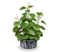 Arborus Plantes artificielles en pots de 35,8 cm - Ficus artificiel avec graines - Plantes vertes artificielles d'intérieur avec pots rayés noirs et blancs - Verdure artificielle pour décoration