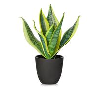 Arborus Plantes en pot artificiel - 28 cm - Plantes vertes - Décoration de table - Étagère - Chambre à coucher