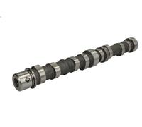 Arbre à came INA 428 0102 10 pour FIAT IDEA (350_) 1.3 2008-2012