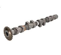 Arbre à came KOLBENSCHMIDT 50006308 pour AUDI TT (8N3) 1.8 1998-2006