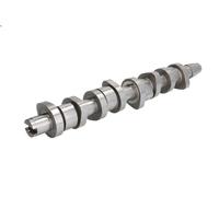 Arbre à came KOLBENSCHMIDT 50006342 pour AUDI A3 (8P1) 2 2006-2008