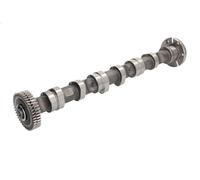 Arbre à came KOLBENSCHMIDT 50007004 pour AUDI Q7 (4LB) 3 2006-2008