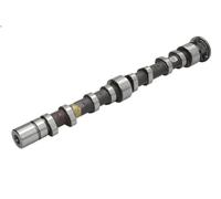 Arbre à came KOLBENSCHMIDT 50007019 pour VW TOURAN (1T3) 1.4 2010-2015