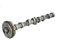 Arbre à came KOLBENSCHMIDT 50007634 pour AUDI TT (8J3) 1.8 2008-2014